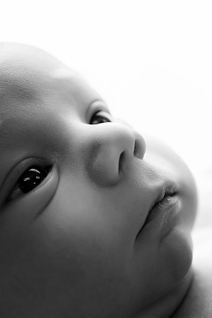 GRADY_17DAYS-34