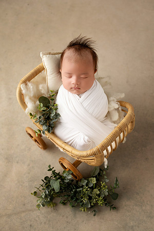 LEO_5WEEKS-41
