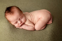 GRADY_17DAYS-1