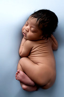 TATUM_12DAYS-9