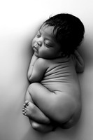 TATUM_12DAYS-9bw