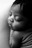 TATUM_12DAYS-10bw