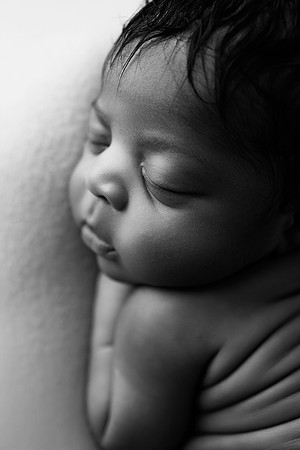 TATUM_12DAYS-10bw