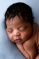 TATUM_12DAYS-11