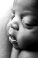 TATUM_12DAYS-12