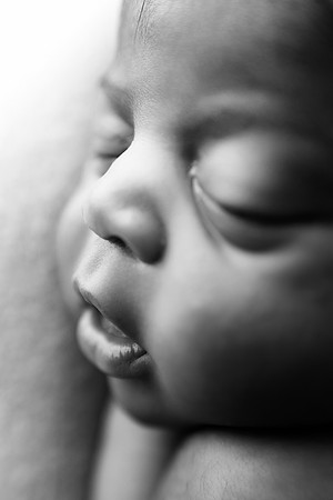 TATUM_12DAYS-12
