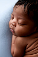 TATUM_12DAYS-10