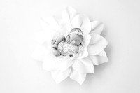 BRIELLE_19DAYS-17