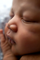 MAHAN_12days-8