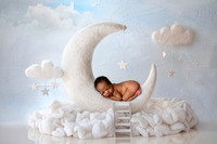 Mahan Daoud - 12 days