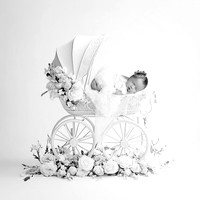 WILLOW_9DAYS-2