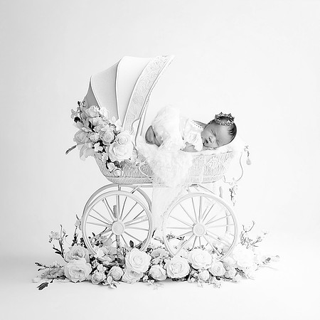 WILLOW_9DAYS-2