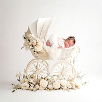WILLOW_9DAYS-1