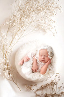WILLOW_9DAYS-6