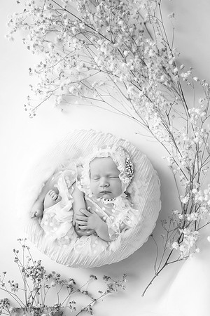 WILLOW_9DAYS-7