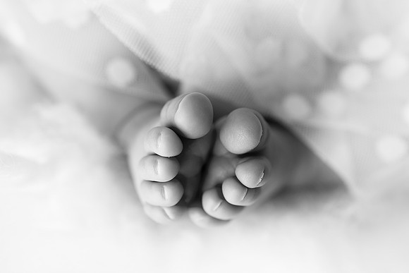 WILLOW_9DAYS-16