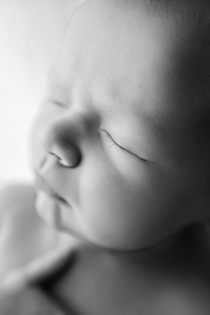 WILLOW_9DAYS-20bw