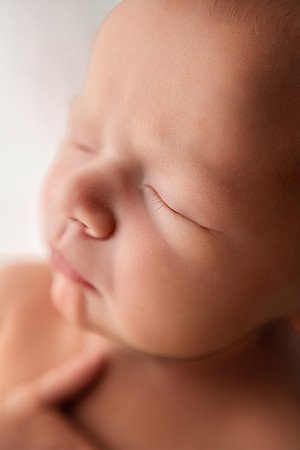WILLOW_9DAYS-20