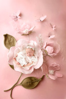 Willow Camille - 9 days