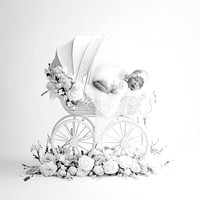 NORAH_9DAYS-2
