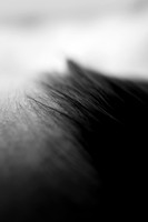 RACE_9DAYS-9