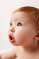 NOAH_1YEAR-7
