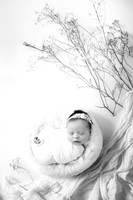 NORAH_9DAYS-7