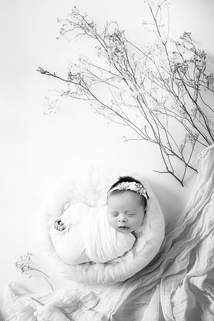 NORAH_9DAYS-7