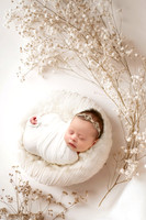 NORAH_9DAYS-16
