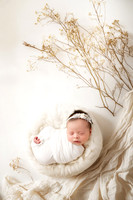 NORAH_9DAYS-6