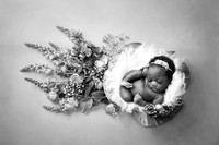 JOELLE_37DAYS-7