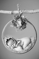 ELLIE_12DAYS-2
