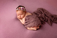 ELLIE_12DAYS-7