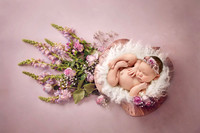 ELLIE_12DAYS-10