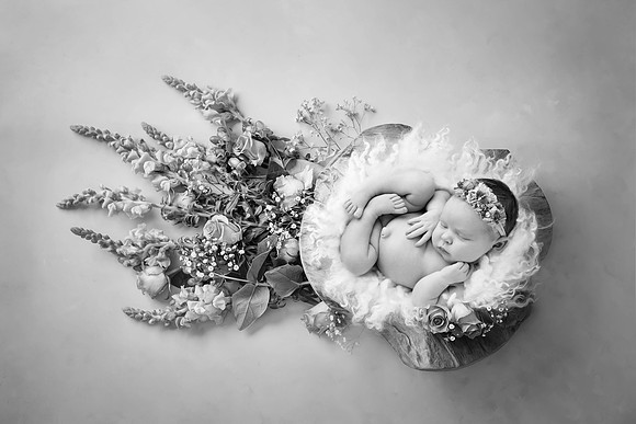 ELLIE_12DAYS-11