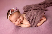 Ellie Rose - 12 days