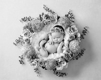 ELLIE_12DAYS-19