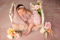 ELLIE_12DAYS-12