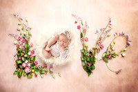 HARPER_35DAYS-8