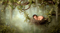 LUKE_14DAYS-9