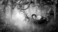 LUKE_14DAYS-10