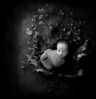 LUKE_14DAYS-15