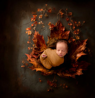 LUKE_14DAYS-14