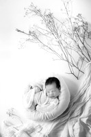THEODORE_13DAYS-7