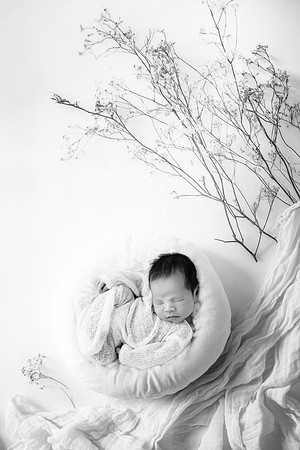 THEODORE_13DAYS-7