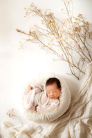 THEODORE_13DAYS-6
