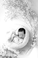 THEODORE_13DAYS-13