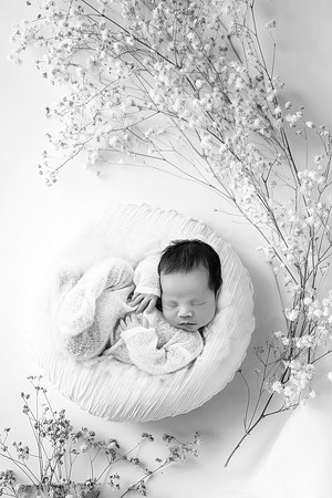 THEODORE_13DAYS-13