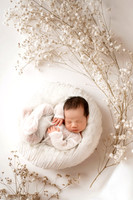 THEODORE_13DAYS-12