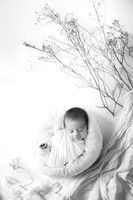 LUCIANO_19DAYS-3